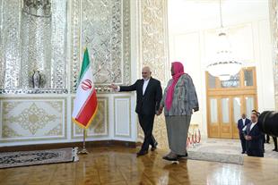 دیدار وزیر امور خارجه آفریقای جنوبی با دکتر ظریف