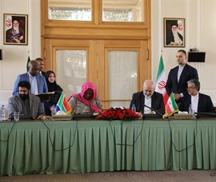 دیدار وزیر امور خارجه آفریقای جنوبی با دکتر ظریف