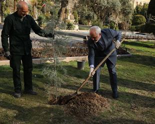 کاشت نهال در آستانه بهار وروزدرختکاری14اسفند1398